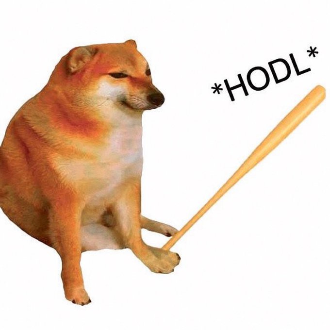 A Shiba Inu dog meme holding a wooden stick, with the text '*HODL*' floating above it, a popular internet reference to holding cryptocurrency.