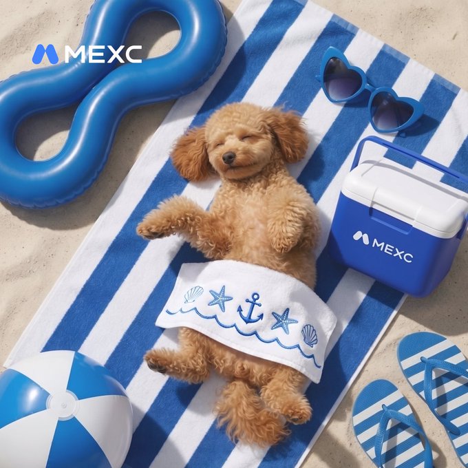 A promotional image for 'MEXC' cryptocurrency exchange featuring an adorable brown poodle sleeping on a blue and white striped beach towel, surrounded by beach accessories including a blue inflatable float, heart-shaped sunglasses, a beach ball, flip-flops, and a MEXC-branded cooler.