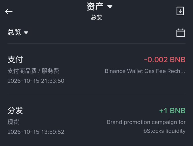 A digital wallet asset overview in Chinese showing a payment of -0.002 BNB for 'Binance Wallet Gas Fee Rech...' and a distribution of +1 BNB for a 'Brand promotion campaign for bStocks liquidity'.