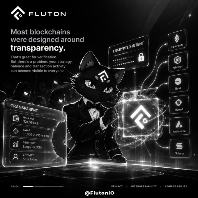 A Fluton advertisement states 'Most blockchains were designed around transparency,' highlighting that strategy, balance, and transaction activity can become visible, listing networks like Ethereum, Arbitrum, Base, Monad, Avalanche, and Solana.