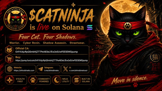 Promotional banner for $CATNINJA, a Solana-based cryptocurrency featuring four cat-themed personas (Warrior, Cyber Ronin, Shadow Assassin, Streetwear), with contract address G4YXAjcRpQSm5bHjZTTPeA83oLfEw2eSUwFEESEMGpump and pump.fun link.