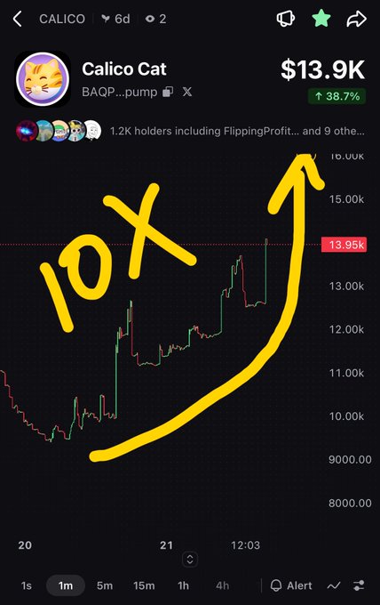 A stock chart on the CALICO app showing 'Calico Cat' (BAQP...pump) at $13.9K with a 38.7% increase, labeled with a yellow arrow and '10X'.