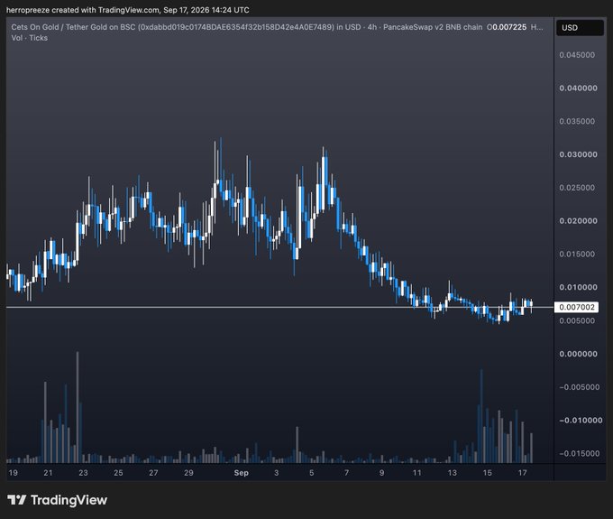 A 4-hour candlestick chart from TradingView displays the price of "Cats On Gold / Tether Gold on BSC" (CETS) at $0.007225 on PancakeSwap, showing a downtrend from highs near $0.04 to current levels around $0.00702. The chart visually reinforces the post's message about buying the main CETS token rather than derivatives, illustrating the volatility and risk associated with these clone tokens.
