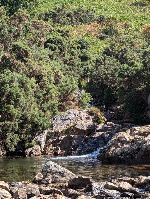 A small waterfall cascades over mossy rocks into a tranquil pool, surrounded by lush green hillsides and shrubbery. The image perfectly embodies the post's message of reconnecting with nature's grounding beauty.