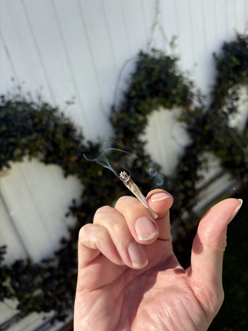 A hand holds a smoldering joint with curling smoke trails, set against a backdrop of greenery and a white fence, visually echoing the post's contemplative, laid-back tone of lighting a candle for peace amid the meme coin chaos.