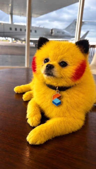 An image of a small dog digitally edited to look like Pikachu, featuring yellow fur, black-tipped ears, and red cheek circles, with a Webpack logo tag on its collar, sitting in an airport terminal with a plane in the background.