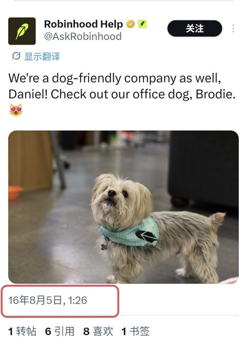 A tweet from Robinhood Help (@AskRobinhood) posted on August 5, 2016, featuring a photo of their fluffy office dog "Brodie" wearing a teal bandana, with the caption "We're a dog-friendly company as well, Daniel! Check out our office dog, Brodie." The post ties into the accompanying commentary about the $BRODIE meme coin ticker, noting that the official account had already given the name years prior when introducing their office pet.