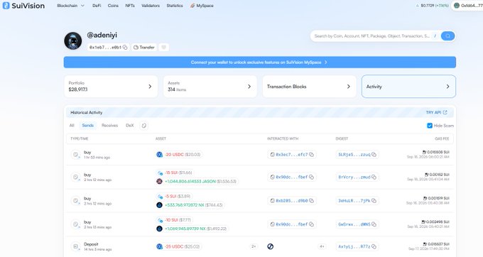 A screenshot of the SuiVision blockchain explorer displaying the wallet @adenyii with a portfolio of $28,973 and 314 assets, showing various historical transaction activities.