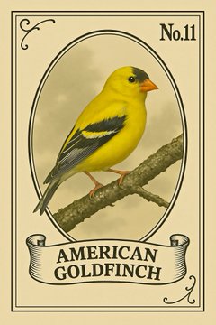 A vintage-style trading card labeled 'No. 11' featuring an 'AMERICAN GOLDFINCH' perched on a branch.