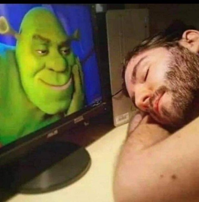 A meme showing a bearded man smiling while leaning against a monitor displaying Shrek, appearing to nuzzle the character.