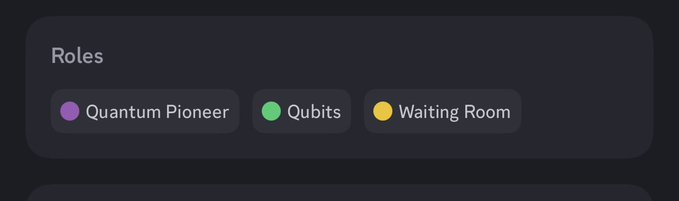 A dark-themed UI panel titled 'Roles' showing three category buttons: 'Quantum Pioneer' (purple), 'Qubits' (green), and 'Waiting Room' (yellow).