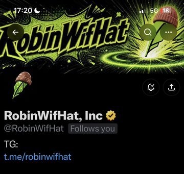 A Telegram channel profile for 'RobinWifHat, Inc' with the username @RobinWifHat, featuring a bat-wearing-hat logo on a black and green background.
