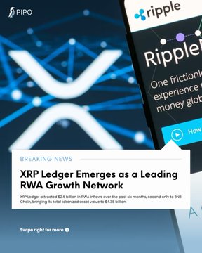 A Pipo financial news update about Ripple, featuring a phone screen with a node network graphic and text announcing 'XRP Ledger Emerges as a Leading RWA Growth Network,' with $2.8 billion in RWA inflows over the past six months.