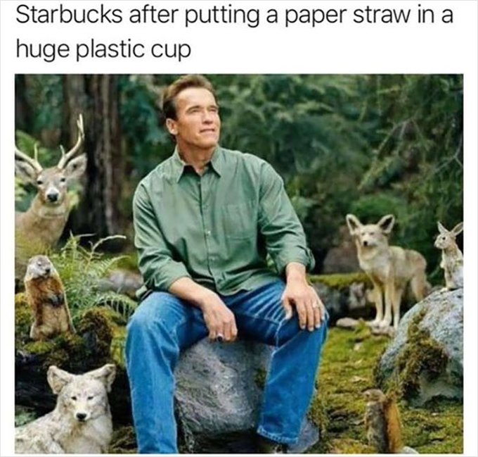 A meme with the caption 'Starbucks after putting a paper straw in a huge plastic cup' showing Arnold Schwarzenegger sitting peacefully among forest animals.