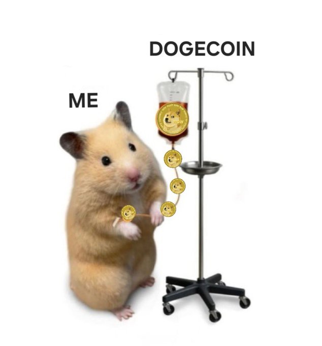 A meme features a hamster labeled 'ME' receiving an IV drip labeled 'DOGECOIN' in the form of dog-themed gold coins.