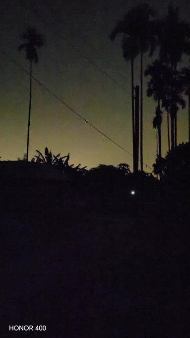 A dark, low-light night photo taken with an HONOR 400 showing silhouettes of tall palm trees, a utility pole, and power lines against a faint orange sky.