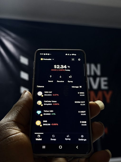 A hand holds a smartphone displaying a crypto wallet interface with a balance of $2.34 and holdings including Wiki Cat ($WKC), CatCake Token ($CCT), Tether ($USDT), and BNB ($BNB). The image visually reinforces the post's message about wallet security, showing a personal crypto portfolio on a mobile device—highlighting the importance of securing such assets.