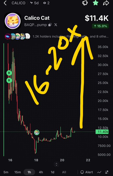 A cryptocurrency chart on DEXtools showing the 'Calico Cat' (BAQP) token at $11.4K, up 15.0%, with hand-drawn yellow annotations reading '16' and '20x' pointing upward.