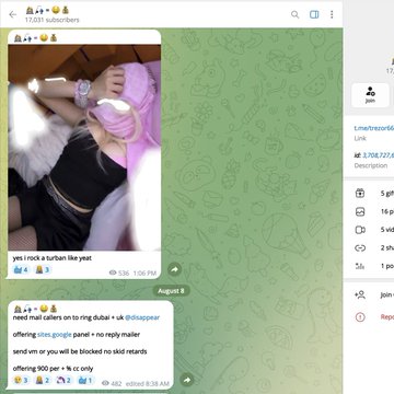 Screenshot of a Telegram channel showing 1,031 subscribers, with a user named 'melvinitrombon' sharing photos and promoting paid subscription services including mailers and other offers.