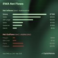 The image is a screenshot from RWA's website that provides information about the net flows between the Ripple network and different exchanges for the month of May. The top part of the image lists various exchanges with their respective net flows, while the bottom section offers an analysis of these flows in dollars. 

In the screenshot, there are multiple lines representing different exchanges, along with numbers that indicate the amount of capital inflow into Ripple from those exchanges during the month of May. The overall message is about the positive trends and growth in the Ripple cryptocurrency network's net capital inflow across various exchanges within RWA.