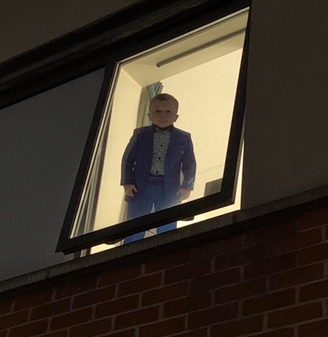 A young boy wearing a blue suit and bow tie stands looking down from an illuminated open window in a brick building at night.