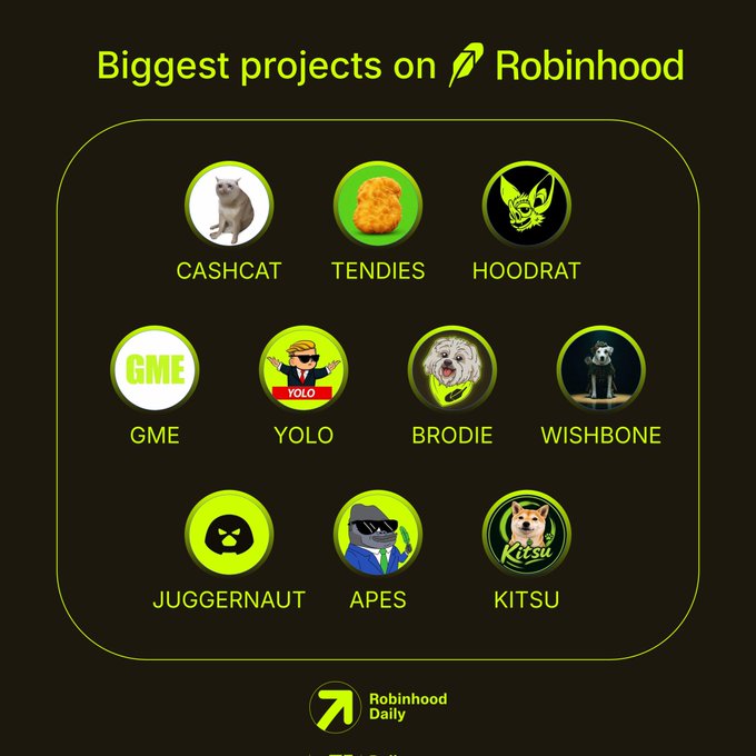 The image displays a graphic titled "Biggest projects on Robinhood" featuring 10 circular icons representing meme stocks and crypto projects, including CASHCAT, TENDIES, HOODRAT, GME, YOLO, BRODIE, WISHBONE, JUGGERNAUT, APES, and KITSU, with the Robinhood Daily logo at the bottom. The graphic visually showcases the meme-style tokens mentioned in the accompanying post, which asks followers which project is performing best.