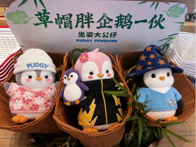 Three adorable Pudgy Penguins plush toys are displayed in woven baskets beneath a sign reading "章帽胖企鹅一伙" (Hat-Wearing Chubby Penguins Crew) and "坐姿大公仔 PUDGY PENGUINS," with each penguin sporting a unique hat—a white beanie, a pink flowered cap, and a blue wizard hat—matching the post's question asking which free Pudgy Penguin you would choose.