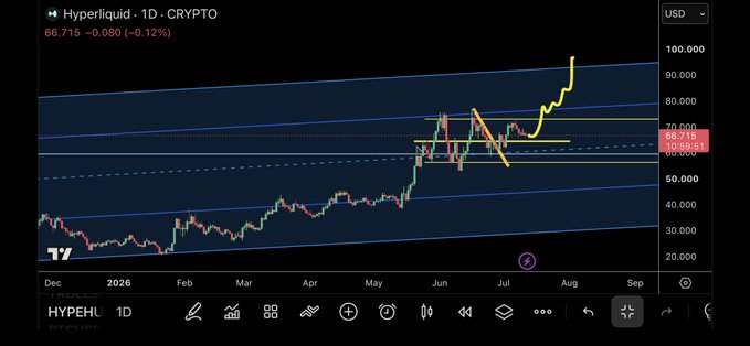 The image shows a daily candlestick chart for Hyperliquid ($HYPE) trading on the crypto market at $66.715 (-0.12%), with technical annotations including an orange descending trendline and yellow support levels around the $60-65 range that the price recently broke above to rally toward $100. The chart illustrates the bullish breakout referenced in the caption, where $HYPE staged another leg up after consolidating within the marked channel.