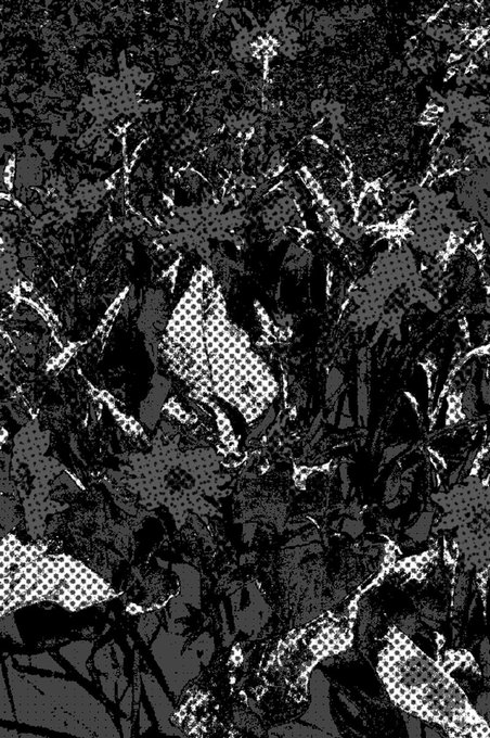 A black and white abstract image with a halftone dot pattern, showing textured shapes that resemble draped fabric or possibly stylized vegetation against a dark background.