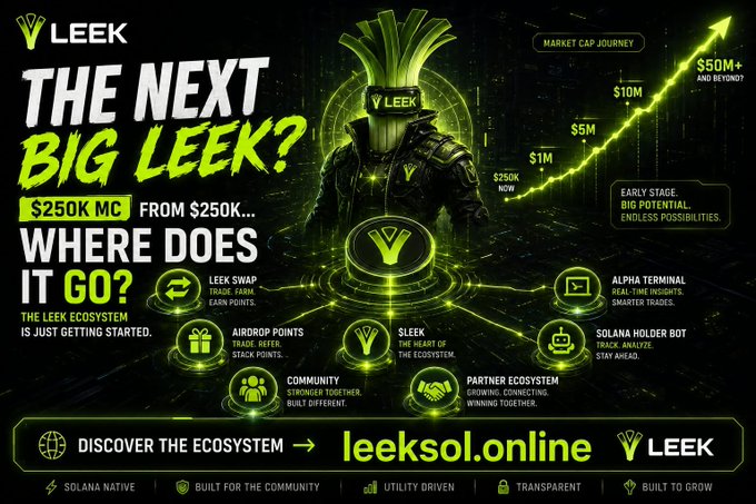 A promotional graphic for a cryptocurrency called 'LEEK' showing a leek-headed samurai warrior, with text 'THE NEXT BIG LEEK?', 'FROM $250K... WHERE DOES IT GO?', a market cap journey chart, and features including 'LEEK SWAP', 'AIRDROP POINTS', 'SLEEK', and 'leeksol.online'.