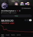 A screenshot of a crypto tracking interface showing a portfolio value of '$8,500.20' with a downward trending chart for an asset labeled 'greatblackpnut'.