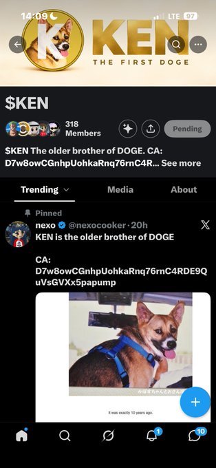 A Twitter/X profile page for '$KEN' showing a Shiba Inu dog avatar with text reading '$KEN The older brother of DOGE. CA: D7w8owCGnhpUohkaRnq76rnC4R...' and a pinned post featuring a dog in a blue harness.