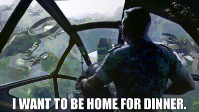 A soldier in a helicopter cockpit says, "I WANT TO BE HOME FOR DINNER." The image captures a humorous moment from the video game, complementing the post about the squad heading to check a new derivative with Toad.