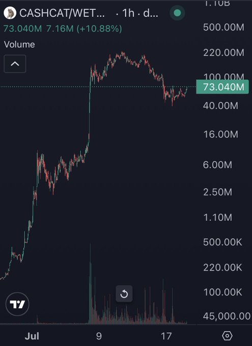 The image shows a 1-hour chart of $CASHCAT/WET on TradingView, with volume currently at 73.040M (+10.88%) and a 7-day price action displaying a strong uptrend followed by consolidation near the highs. The sustained elevated volume near recent highs supports the post's bullish sentiment that $CASHCAT is positioned for a new all-time high.
