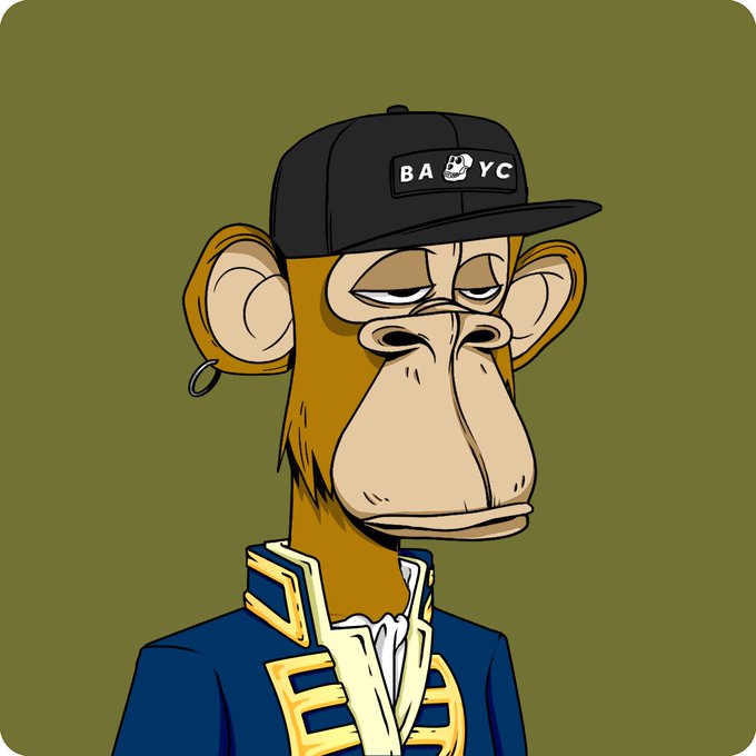 Cartoon Bored Ape NFT character wearing a black 'BAYC' cap and a blue and yellow-trimmed jacket against an olive background.