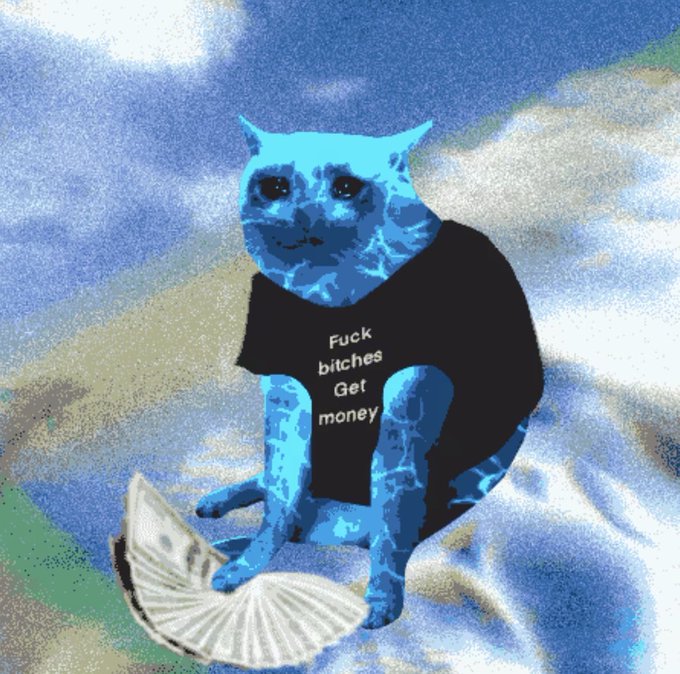 A meme image of a blue cat wearing a black t-shirt that reads 'Fuck bitches Get money', sitting in front of a money reference graphic with a distorted blue background.