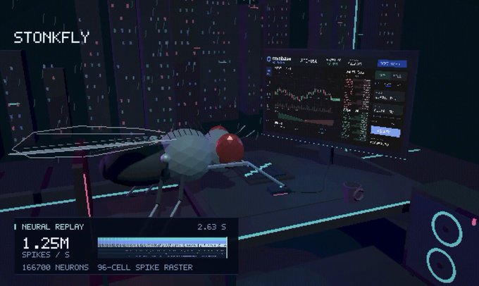 A pixelated "STONKFLY" image shows a simulated fruit fly with a visible brain next to a trading screen, with "NEURAL REPLAY" showing 1.25M spikes/s across 166,700 neurons over a 2.63 second period. The image visualizes the AI-fruit fly hybrid cryptocurrency trading experiment, where the fly's neural activity is being monitored as it attempts to trade Bitcoin based on dopamine-reinforced learning.