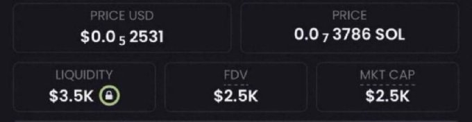 The image displays cryptocurrency market data showing a price of $0.052531 USD (0.073786 SOL), with liquidity of $3.5K (locked), FDV of $2.5K, and market cap of $2.5K—metrics used to promote a micro-cap meme coin promising 1000x returns.