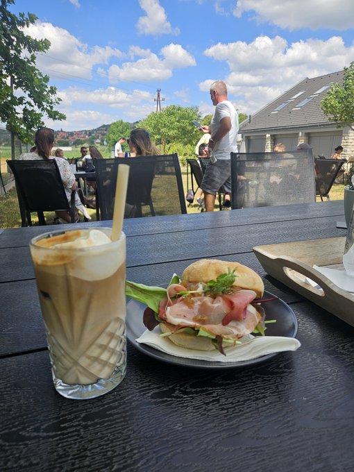 A first-person view of an outdoor patio table featuring an iced latte and a sandwich on a plate, with people seated at tables and a grassy area in the background under a partly cloudy sky.