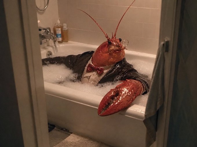 A large red lobster, humorously dressed in a tuxedo with glasses, lounges in a bubble bath while holding a cigar in a bathtub. The image playfully reflects the crypto trader's post about holding onto their $XLM position over the weekend, joking that they're "staying till Monday" since "the water's nice."
