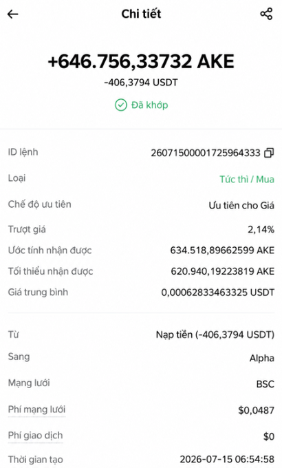 A Vietnamese cryptocurrency transaction details screen showing a purchase of +646,756.33732 AKE for ~406.3794 USDT, marked as completed on the BSC network.