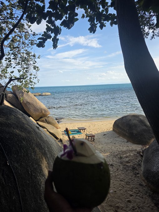 A first-person view of someone holding a fresh green coconut drink with a purple flower garnish on a tropical beach, looking out toward blue ocean waters framed by rocks and tree leaves.