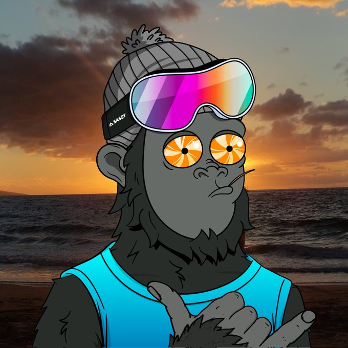 A cartoon gorilla wearing a gray beanie, colorful reflective ski goggles, and a blue tank top, standing against a sunset beach backdrop with wide orange eyes.