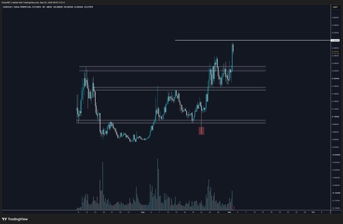 A TradingView candlestick chart displays $CASHCAT/TetherUS perpetual futures on the Perpetual market with TradingQuest, showing recent price action breaking above a resistance zone near $0.000015 after a long downtrend, with the current price at $0.00001645. The chart includes horizontal support/resistance levels and volume bars below the price action.