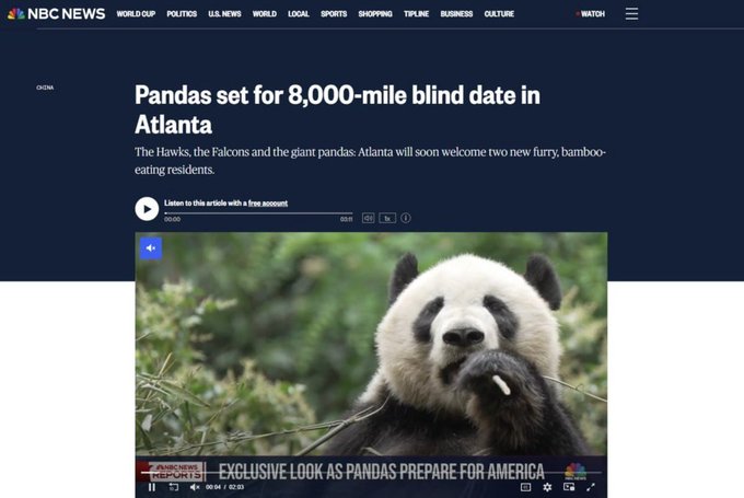 An NBC News article headline reads "Pandas set for 8,000-mile blind date in Atlanta," featuring a photo of a panda eating bamboo, with the caption referencing the Hawks, Falcons, and Atlanta pandas soon welcoming two new residents. The post ties this mainstream news coverage to trending attention on the pandas, drawing a parallel to the earlier success of $cashcat and projecting potential momentum for a panda-themed token through August and September.