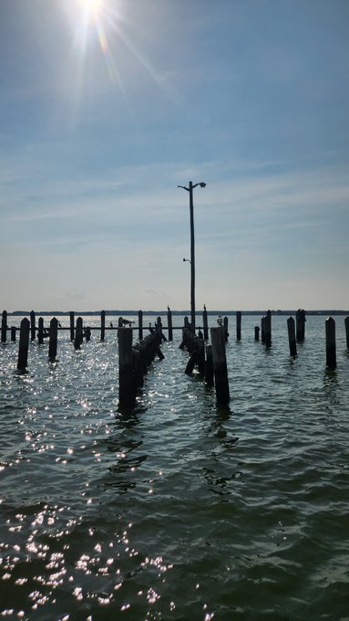 A scenic photograph of weathered wooden posts emerging from sunlit ocean waters under a bright blue sky, with a tall pole structure in the middle.