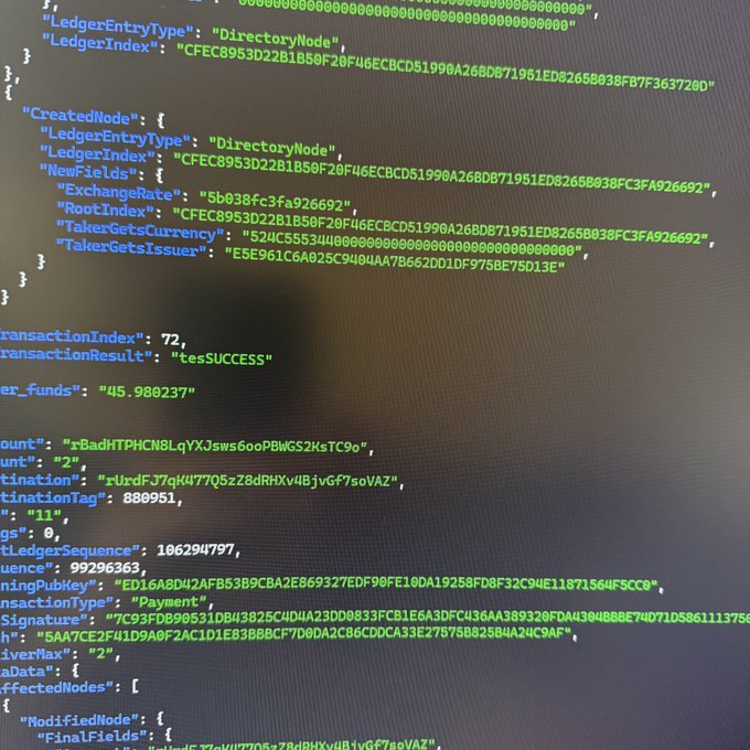 A close-up photograph of a computer monitor displaying raw JSON-formatted XRP Ledger transaction data, showing fields like "transactionIndex": 72, "transactionResult": "tesSUCCESS", "exchangeRate": "5b038fc3fa926692", and a public key beginning with "ED16A8D4" — visually reinforcing the claim of working hands-on with complex blockchain ledger information.