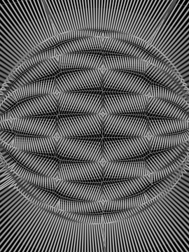 A black and white optical illusion artwork featuring a circular woven or braided pattern in the center surrounded by radiating lines.