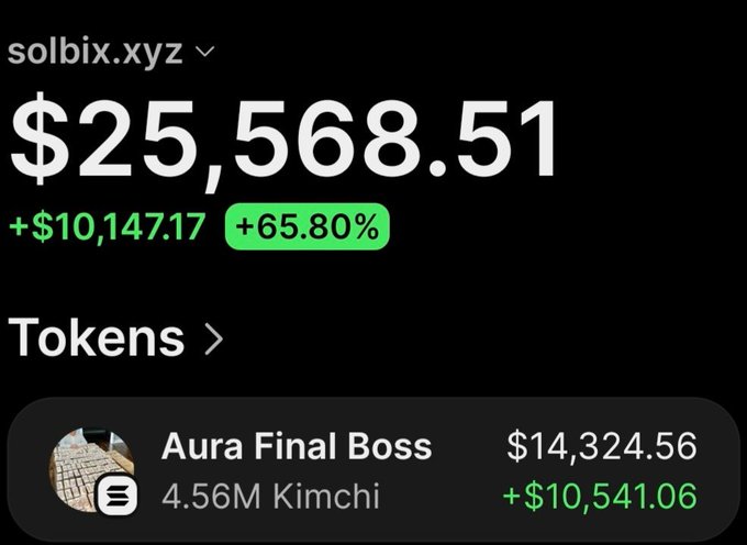 The image shows a screenshot from solbix.xyz displaying a wallet's portfolio with a total value of $25,568.51, up $10,147.17 (+65.80%), led by a holding called "Aura Final Boss" (4.56M Kimchi) worth $14,324.56 with $10,541.06 in gains—visually illustrating the post's claim of turning a $3,750 investment into over $24,000 in profit on the Kimchi token.
