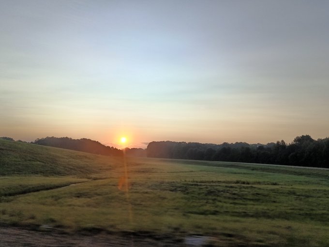 A sunrise or sunset over a green field with a tree line, captured from what appears to be a moving vehicle.